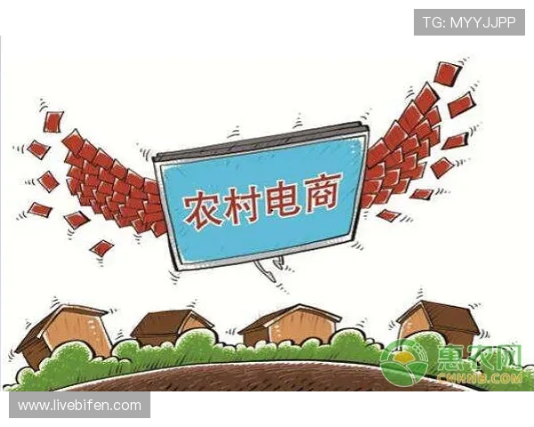 正反波胆的区别避坑指南极速提现防骗